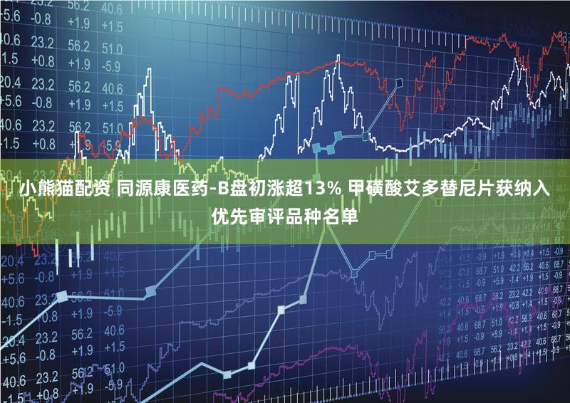 小熊猫配资 同源康医药-B盘初涨超13% 甲磺酸艾多替尼片获纳入优先审评品种名单