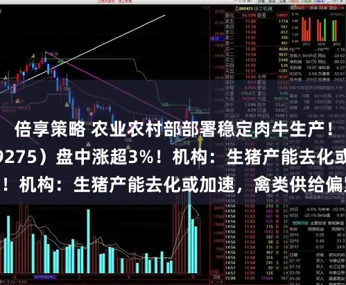 倍享策略 农业农村部部署稳定肉牛生产！农牧渔ETF（159275）盘中涨超3%！机构：生猪产能去化或加速，禽类供给偏紧