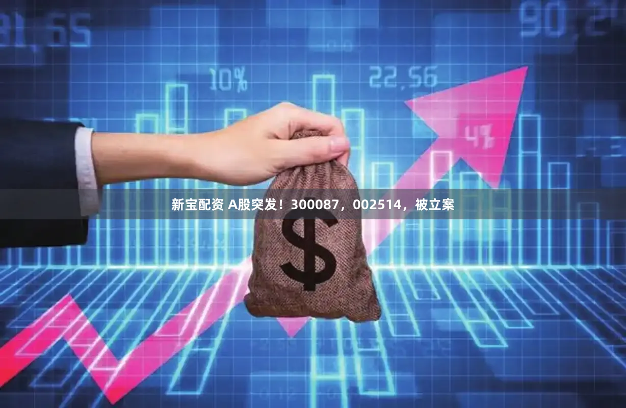 新宝配资 A股突发！300087，002514，被立案