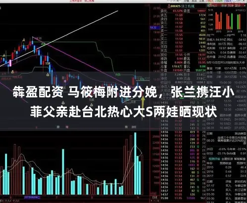 犇盈配资 马筱梅附进分娩，张兰携汪小菲父亲赴台北热心大S两娃晒现状