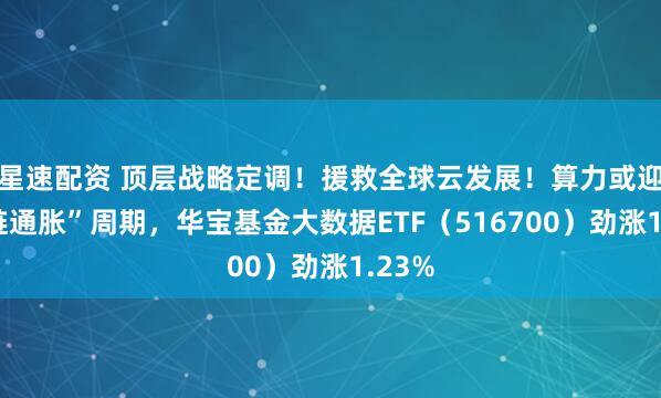 星速配资 顶层战略定调！援救全球云发展！算力或迎“全链通胀”周期，华宝基金大数据ETF（516700）劲涨1.23%