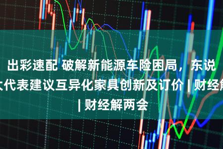 出彩速配 破解新能源车险困局，东说念主大代表建议互异化家具创新及订价 | 财经解两会
