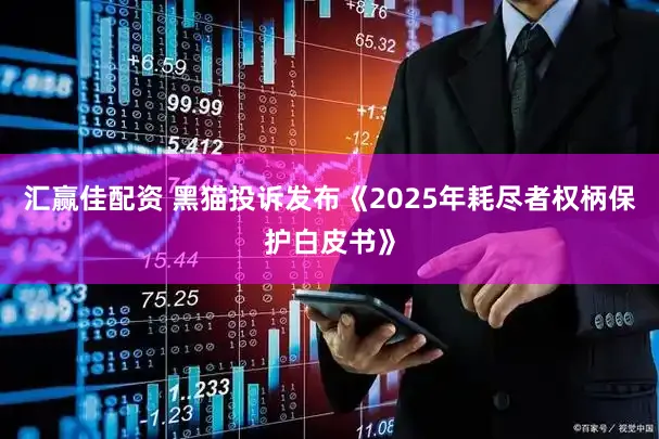 汇赢佳配资 黑猫投诉发布《2025年耗尽者权柄保护白皮书》