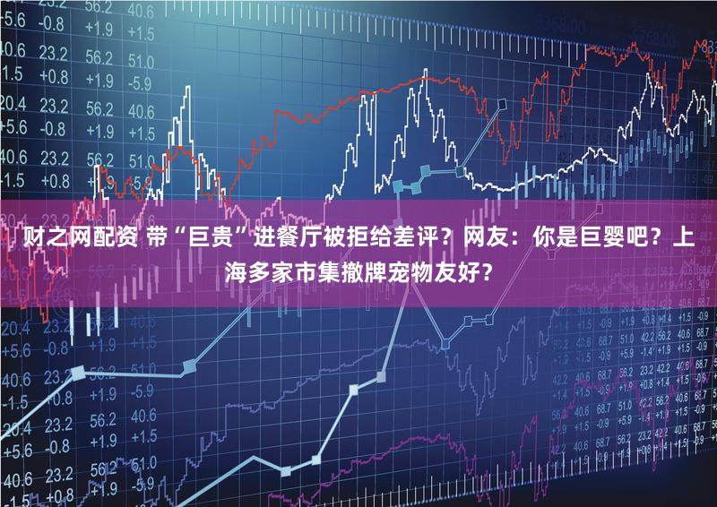 财之网配资 带“巨贵”进餐厅被拒给差评？网友：你是巨婴吧？上海多家市集撤牌宠物友好？