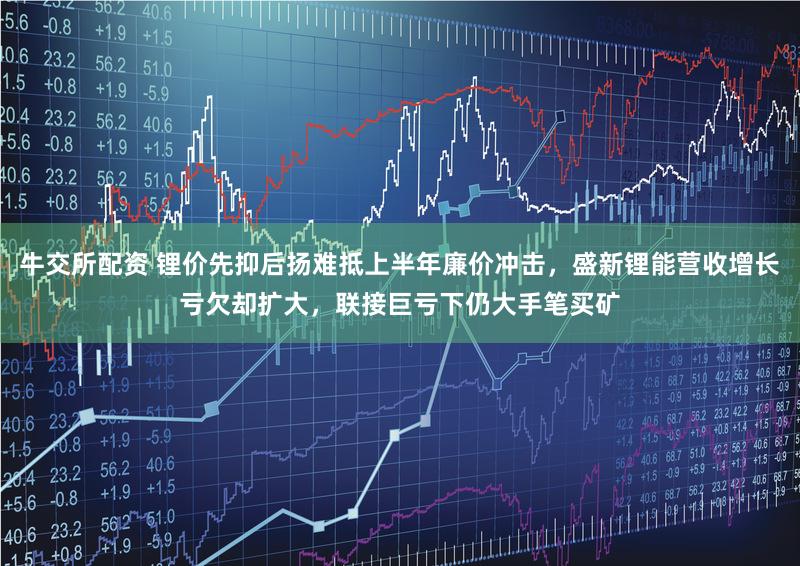 牛交所配资 锂价先抑后扬难抵上半年廉价冲击，盛新锂能营收增长亏欠却扩大，联接巨亏下仍大手笔买矿