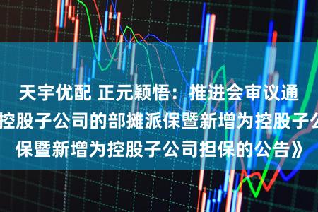 天宇优配 正元颖悟：推进会审议通过《对于取消为控股子公司的部摊派保暨新增为控股子公司担保的公告》