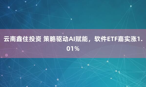 云南鑫住投资 策略驱动AI赋能，软件ETF嘉实涨1.01%