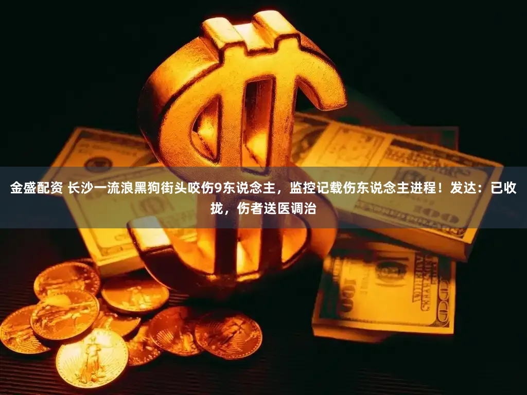 金盛配资 长沙一流浪黑狗街头咬伤9东说念主，监控记载伤东说念主进程！发达：已收拢，伤者送医调治