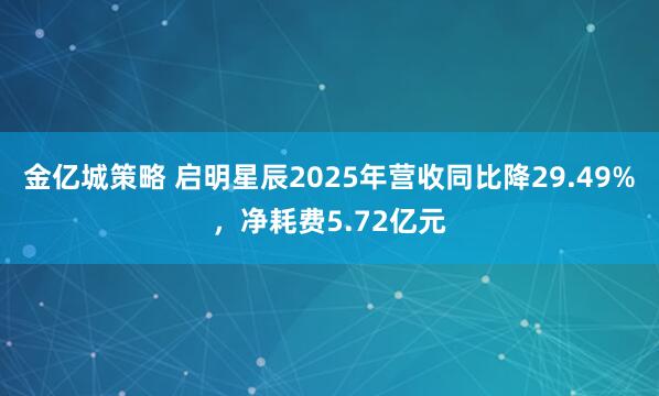 金亿城策略 启明星辰2025年营收同比降29.49%，净耗费5.72亿元