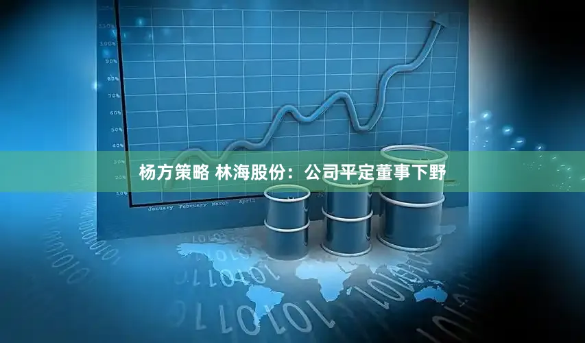 杨方策略 林海股份：公司平定董事下野
