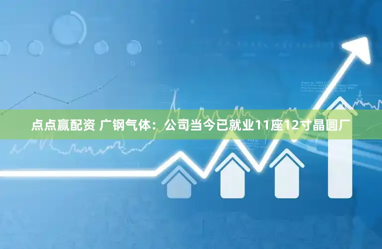 点点赢配资 广钢气体：公司当今已就业11座12寸晶圆厂